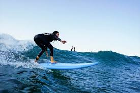 Surf y escuelas